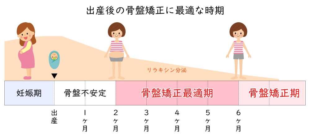 出産後の骨盤矯正に最適な時期 解説図