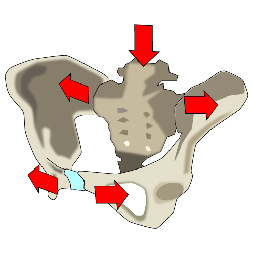 妊娠期の骨盤の開き方 解説図