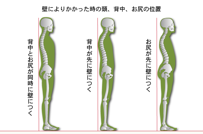 壁に寄りかかった時の頭、背中、お尻の位置